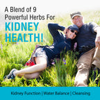 SOLARAY Kidney Blend SP-6 | Herbal Blend w/Cell Salt Nutrients to Help Support Healthy Kidney Function | Non-GMO, Vegan (3 Pack)