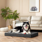 EHEYCIGA Orthopedic Dog Bed Large with Removable Washable Cover, 41IN Grey
