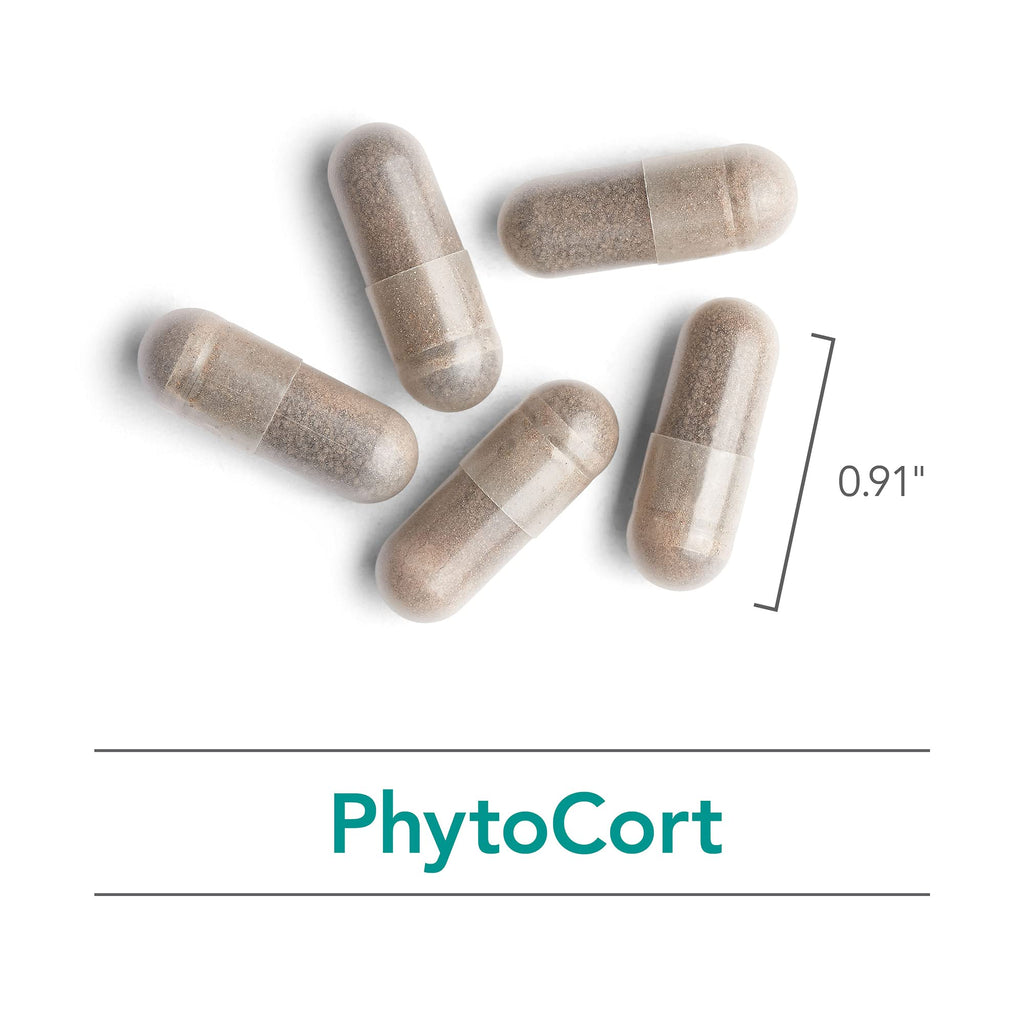 Nutricology PhytoCort Supplement - Respiratory Support, Lung Health, Lung Detox, Lung Cleanse, Healthy Breathing, Herbal Support, Reishi, Licorice, Noni, Vegetarian Capsules - 120 Count