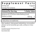 ARG Berberine 500 - 500 mg Berberine HCl - Metabolic & Blood Glucose Support - AMPK Activation Formula - Non-GMO Botanical Extract - 90 Servings - 90 Capsules
