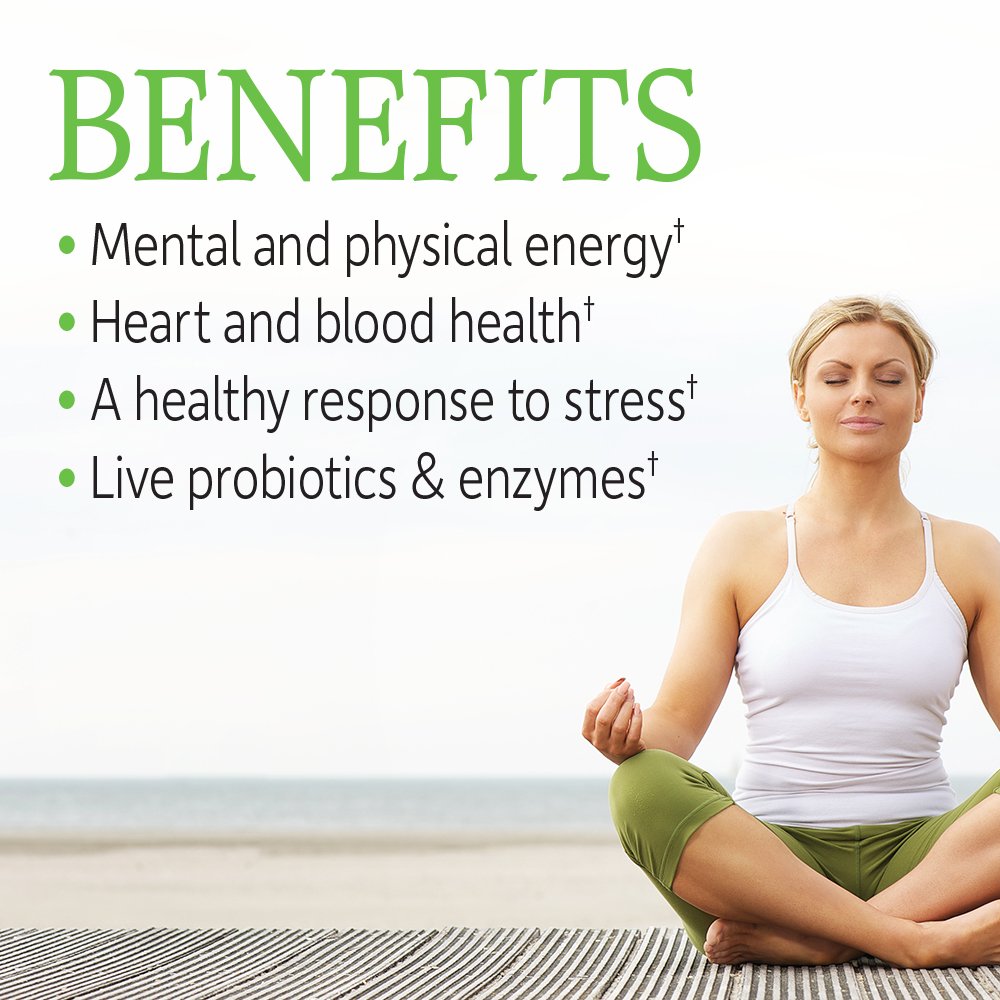 Garden of Life Vitamin B Complex, 60 Vegan Capsules, High Potency Vitamins for Energy & Metabolism with B6, Folate & B12 as Methylcobalamin Plus Probiotics