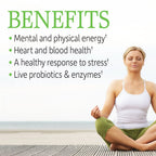 Garden of Life Vitamin B Complex, 60 Vegan Capsules, High Potency Vitamins for Energy & Metabolism with B6, Folate & B12 as Methylcobalamin Plus Probiotics
