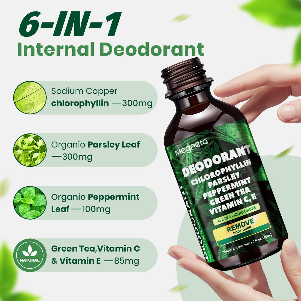 MEGNETA Liquid Chlorophyll Drops with Parsley, Peppermint & Green Tea – Natural Body Freshness & Inner Cleanse Support – 2 fl oz