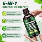 MEGNETA Liquid Chlorophyll Drops with Parsley, Peppermint & Green Tea – Natural Body Freshness & Inner Cleanse Support – 2 fl oz