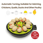 Incubators for Hatching Eggs 12 Egg Incubator with Automatic Egg Turning and Humidity Control,Egg Candler,Auto Water Replenishment,for Chicken Eggs and Quail Egg M12H