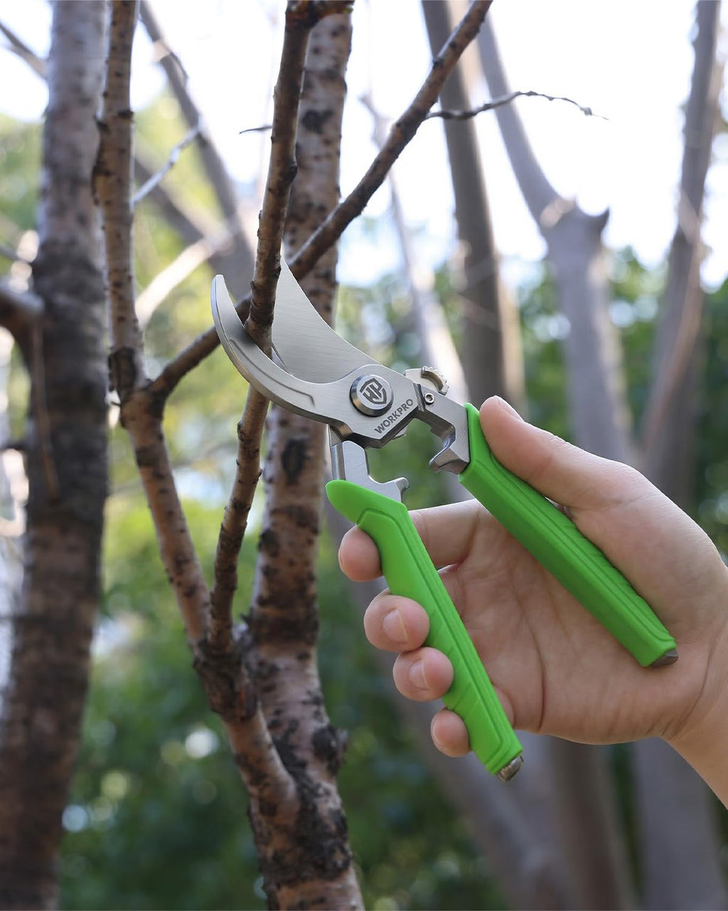 WORKPRO 8.5" Bypass Pruning Shears, Professional Forged Garden Shears