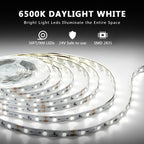 dalattin White LED Strip Lights 50ft Dimmable Bright 24V Led Light Strip 6500K Daylight White 900 LEDs Lights for Bedroom, Mirror, Kitchen, Strong Adhesive（2 Rolls of 25ft）