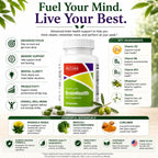 Pinnaclife McCord BrainHealth Brain Supplement with Olivamine, Vitamin D3, B6 & B12, Rhodiola Rosea, Magnesium & Taurine, Supports Memory, Focus, Clarity & Productivity for Men and Women