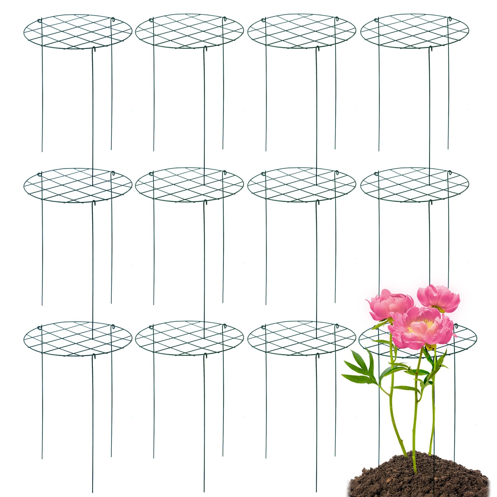 TIyneayle 12 Pack Peony Cages and Supports 16 x 24 Inch Grow Through Plant Support Peony Support Ring for Outdoor Plants