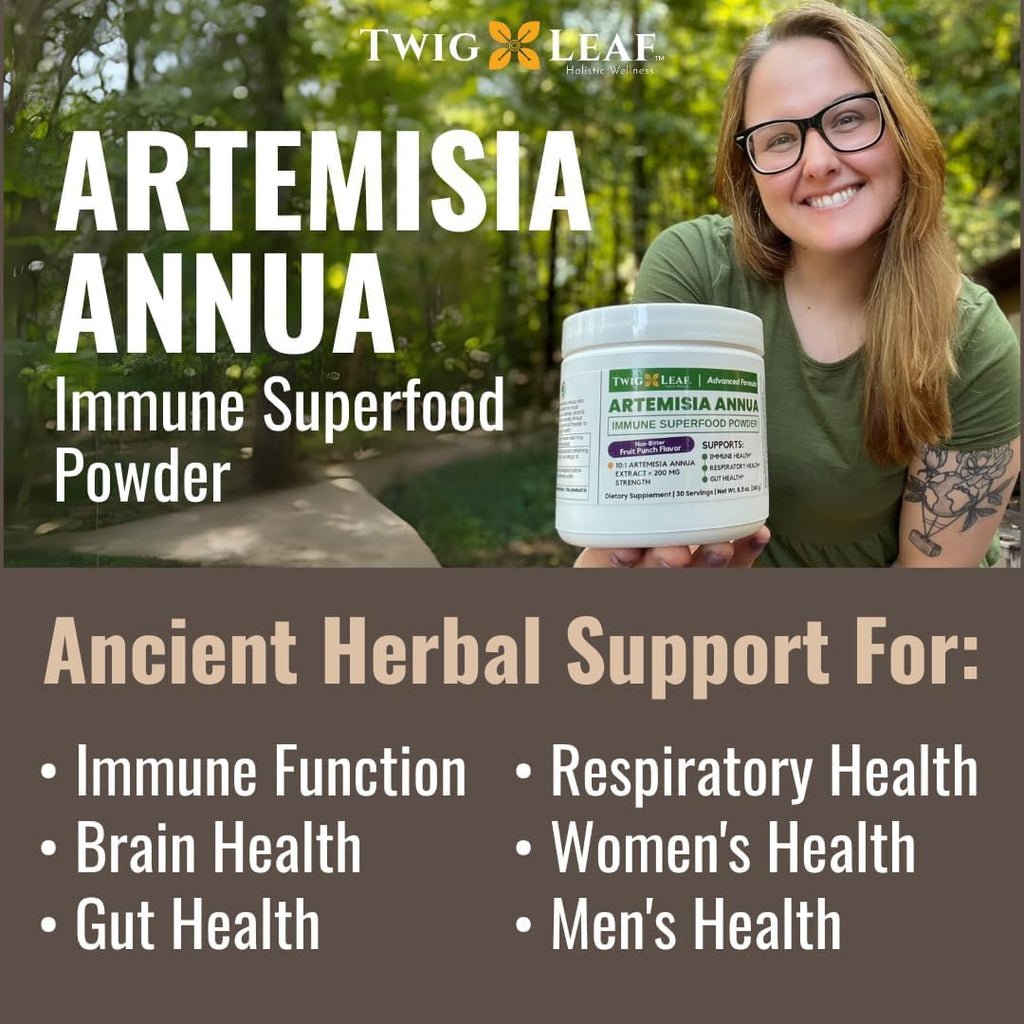 Artemisia Annua Sweet Wormwood Herbal Powder | Leaf Extract Brain Support | Artemisia Supplement | Sweet Wormwood Extract | Non-GMO, Vegan, Gluten-Free | 30 Servings/8.5 Oz (240g)