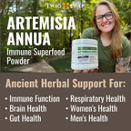 Artemisia Annua Sweet Wormwood Herbal Powder | Leaf Extract Brain Support | Artemisia Supplement | Sweet Wormwood Extract | Non-GMO, Vegan, Gluten-Free | 30 Servings/8.5 Oz (240g)