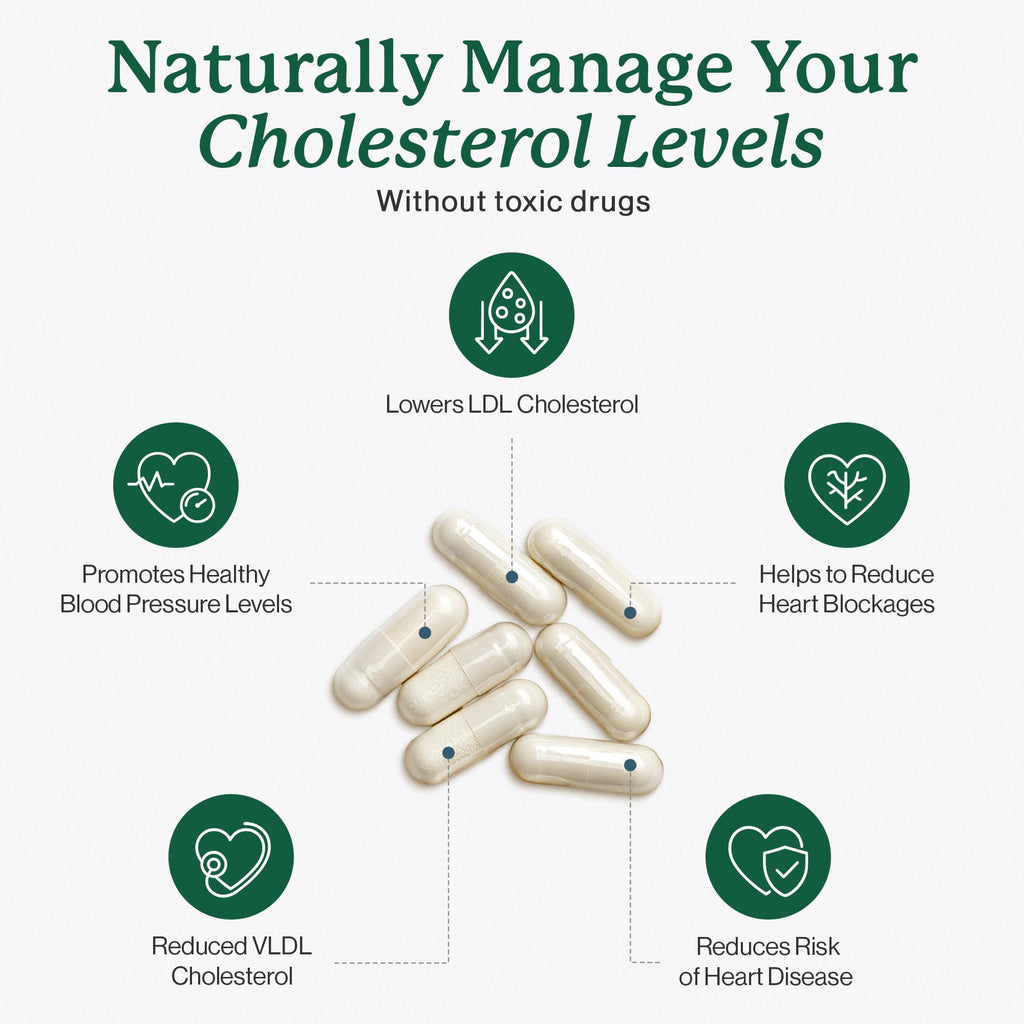 Dr. Fuhrman's LDL Biotect cholesterol lowering supplements | Wholefood & Organic Plant Sterol to help with High cholesterol | Organic pomegranate, amla & chokeberry extracts | 240 caps 60-day Supply