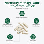 Dr. Fuhrman's LDL Biotect cholesterol lowering supplements | Wholefood & Organic Plant Sterol to help with High cholesterol | Organic pomegranate, amla & chokeberry extracts | 240 caps 60-day Supply