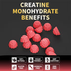 NSF Certified Creatine Gummy - Creatine Monohydrate Gummies for Men & Women, Creatine Monohydrate for Muscle Strength, Muscle Builder, Energy Boost, Pre-Workout Supplement(120 Count)-Watermelon Flavor