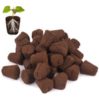 LAPOND 50 Pcs Grow Sponges,Replacement Plant Starter Plugs for Cuttings and Propagation,Great for Soil, Tray or Planting Pods, Promotes Herbs, Vegetables and Flowers Growth