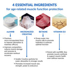 BioTrust Ageless Muscle Builder - Creatine HMB Powder with Vitamin D3 & Betaine - Build & Preserve Naturally Declining Muscle Mass & Strength - Fruit Punch, 30 Servings