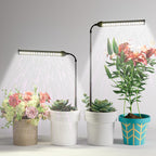 WeeLeeGoo LED Grow Light 2 Pack, 6000K White Full Spectrum 144 LED Gooseneck Growing Lamp for Indoor Plants Growth,4 8 12 18Hrs Timer & Brightness Changeable,Insert Pole Extendable 4-10''