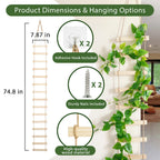 Wooden Ladder Plant Trellis for Climbing Plants – 6ft Extra Tall Indoor & Outdoor Hanging Wall Wooden Trellis Garden Plant Support, Easy to Install for Vines, Ivy, Pothos, Potted Plants