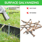 EISENSP 8 Inch Heavy Duty Landscape Stakes with Gasket Caps - 200 Sets Galvanized Spiral Garden Spikes Kit for Securing Weed Barrier Fabric, Artificial Turf, Tent and More