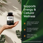NatureBell PQQ with CoQ10-240 Capsules - 40mg Active PQQ with 10mg Coenzyme Q10 - Cellular Energy & Cognitive Function Support - Antioxidant Nutrients for Heart & Brain Health*