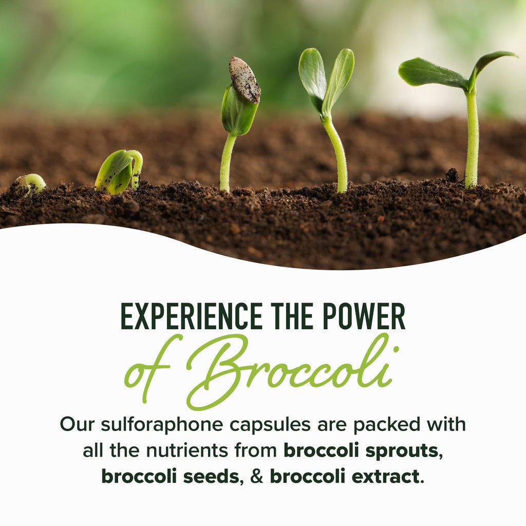 50MG Sulforaphane Supplement from Broccoli Sprouts | NRF2 Activation, Cellular Health & Immune Support | Glucoraphanin, Myrosinase & Antioxidants | Third-Party Tested | 60 Broccoli Seed Microbeadlets