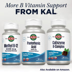 KAL Pantothenic Acid 1000mg Supplement for Men & Women - Vitamin B5 1000 mg, Supports Cellular Energy Metabolism, Nerve Function, Sustained Release, Vegan - 100 Tablets