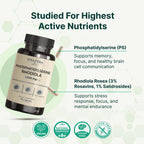 VINATURA PhosphatidylSerine 1200mg - with Rhodiola Rosea, 90 Capsules 30 Servings