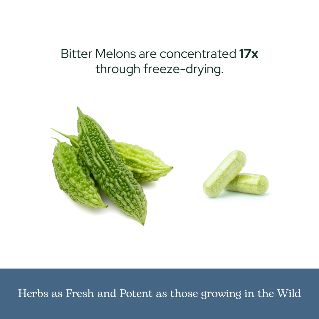 Eclectic Herb - Bitter Melon Capsules | Digestion & Immune Support Supplement | Overall Wellness Support | US-Grown, Vegan, Non-GMO, Gluten Free (90 CT | 200 mg)