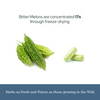 Eclectic Herb - Bitter Melon Capsules | Digestion & Immune Support Supplement | Overall Wellness Support | US-Grown, Vegan, Non-GMO, Gluten Free (90 CT | 200 mg)