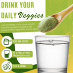 Ultimate Greens with MSM Powder, Vegan Friendly Natural Ingredients Gluten Soy Free NO GMO Superfood Vegetable Nutritional Drink Alkalizing Energy 8oz 6 Pack (6 Month Supply)