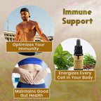 Activation Solaris Essential Oil | 15 ml | Aromatic Blend with Thyme, Peppermint, Rosemary, and Clove | Refreshing Scent for Diffuser and Topical Use | Clean Plant-Based Formula