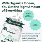 Organics Ocean Real Magnesium Citrate - High Absorption Magnesium Supplement - Chelated Magnesium to Support Energy, Relaxation, and Regularity - 6 Pack Bulk Supply