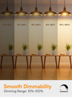 TJOY A19 Dimmable LED Light Bulbs, E26 Led Bulbs 60 Watt Equivalent, Warm Soft White 2700K, 800 Lumens Standard Base, Energy Saving Lightbulbs, Efficient 9W, 120V, 15,000 Hour Lifetime, 6 Pack