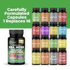 Organic Irish Sea Moss Capsules 120 Count –16 in 1 Sea Moss Supplement with Black Seed Oil, Ashwagandha, Turmeric & Ginger, Bladderwrack & Burdock Root, Vitamin D3 –Organic, Vegan, Halal, Non-GMO