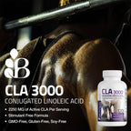 Bronson CLA 3000 Extra High Potency Supports Healthy Weight Management Lean Muscle Mass Non-Stimulating Conjugated Linoleic Acid 300 Softgels
