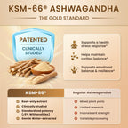 10-IN-1 Cortisol Supplements w/ KSM-66® Ashwagandha 300mg + L-Theanine 250mg, Magnesium Glycinate, Saffron, Phosphatidylserine, Turmeric & Vitamin C D3 B6 B5, For Women Men, 120 Capsules 60-Day Supply