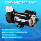 LINGXIAO SPA Pump, 2.5HP Hot Tub Pump - 48 Frame(Y) LX SPA Motor 2 Speed, 230V, 2" Port - (Model: 48WUA1502C-II)