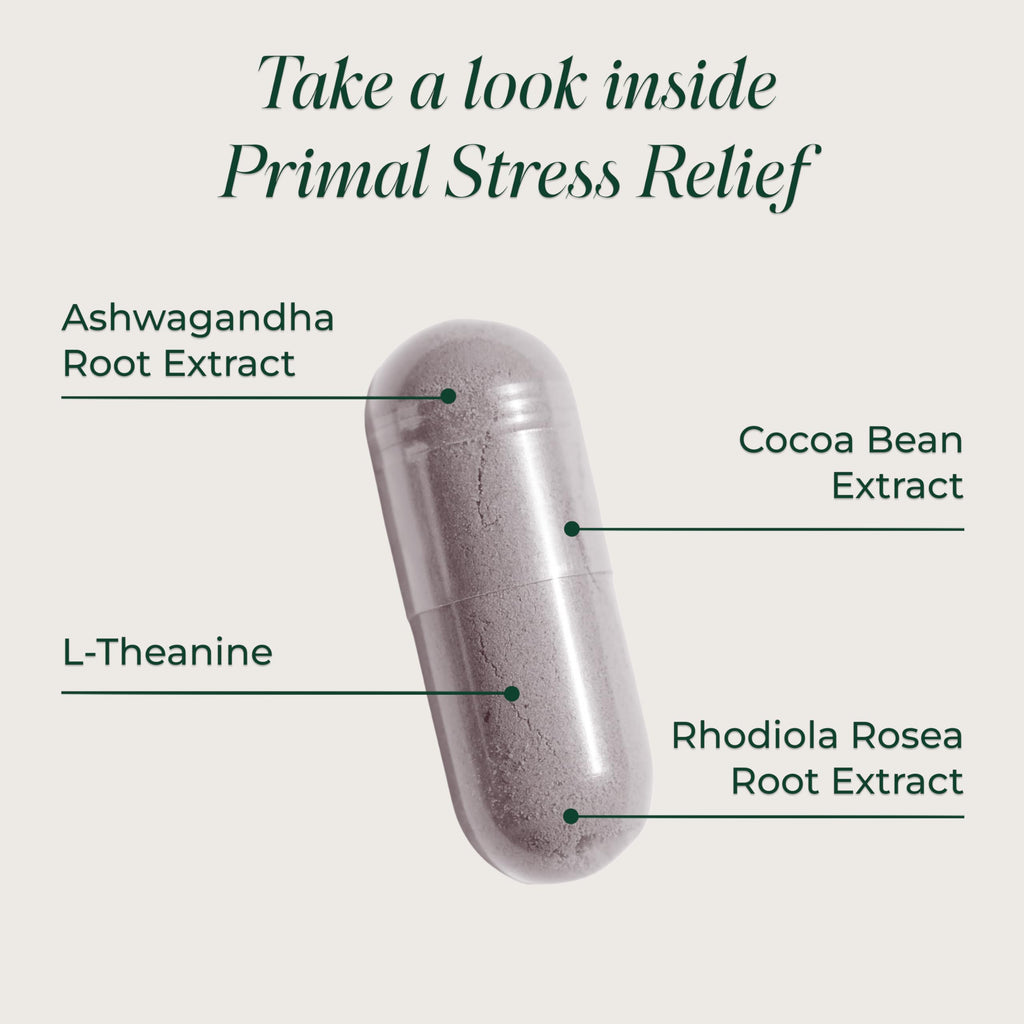 Primal Harvest Stress Relief Supplement for Women and Men Pure Ashwagandha Root Extract, L-Theanine Supplements, 60 Capsules