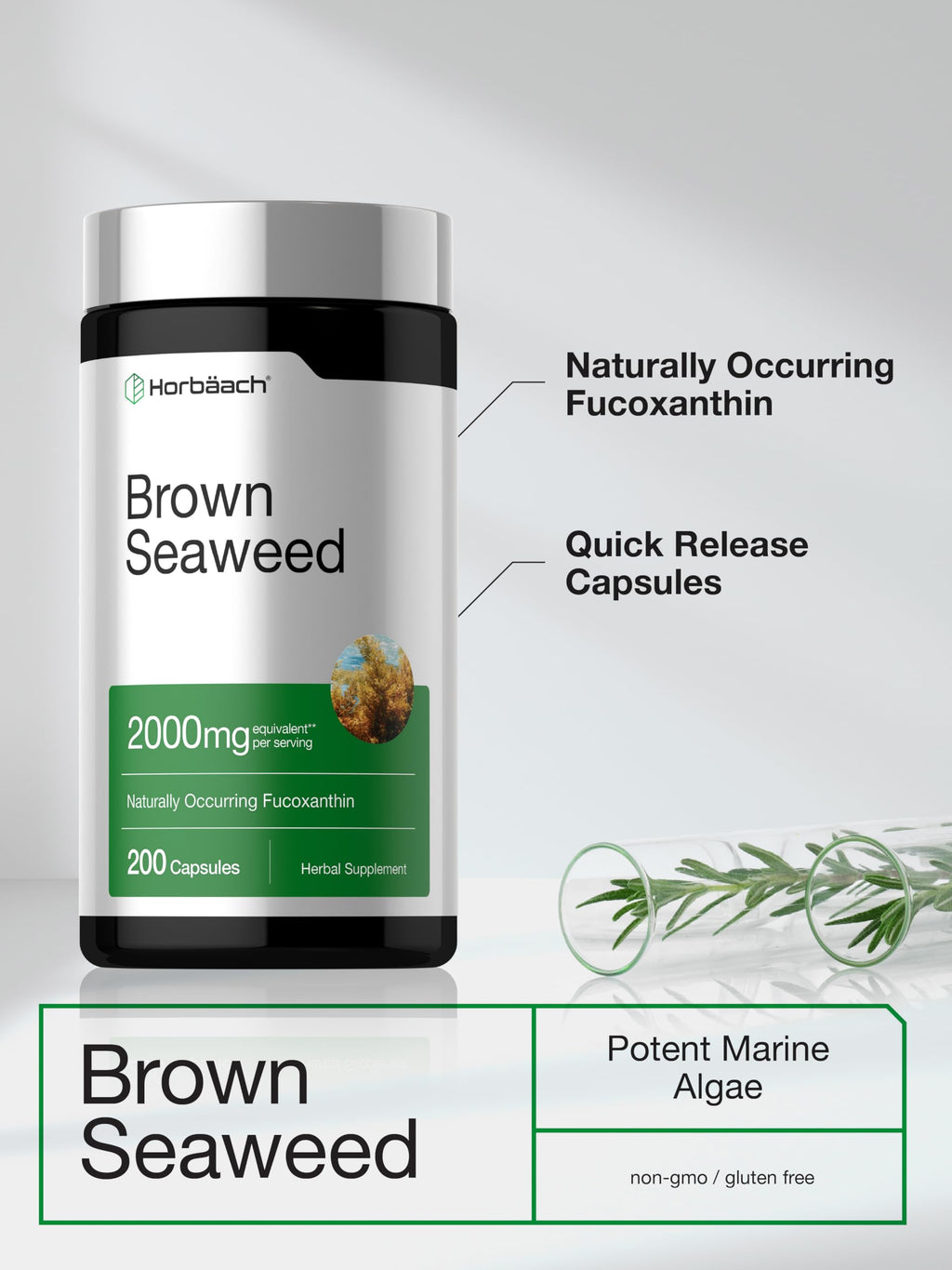 Horbäach Brown Seaweed Extract Capsules | 200 Pills | Fucoxanthin Supplement | Non-GMO, Gluten Free