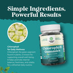 Chlorophyll Gummies for Cleanse & Detox Support - Potent Internal Deodorizer Chloropyll Supplements for Body Odor Healthy Skin Immunity & Digestive Support - Vegan Non-GMO & Gluten Free - 60 Count