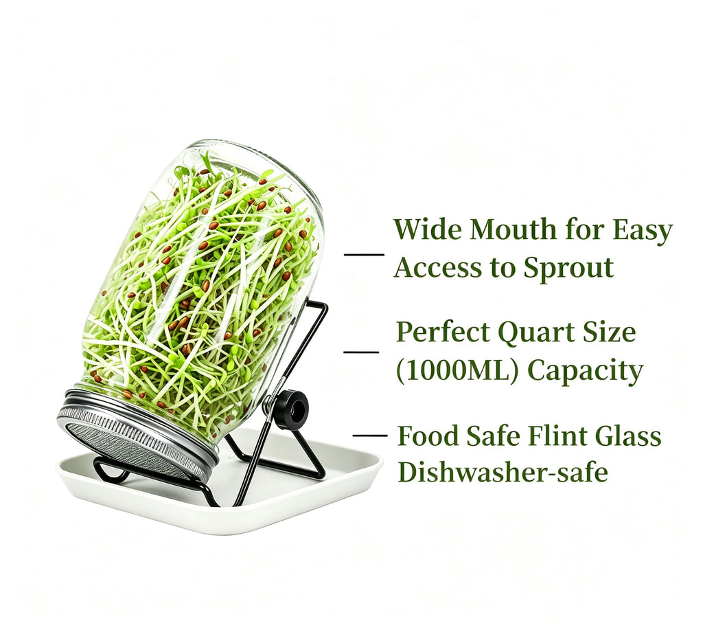 Lulonpon Sprouting Kit, 2 Sprouting Jar Kits, Wide Mouth Quart Mason Jars with Stainless Steel Screen Sprout Lids,1000ml, Stand and Canning Brush,Seed Sprouter Set for Growing Broccoli, Alfalfa
