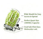 Lulonpon Sprouting Kit, 2 Sprouting Jar Kits, Wide Mouth Quart Mason Jars with Stainless Steel Screen Sprout Lids,1000ml, Stand and Canning Brush,Seed Sprouter Set for Growing Broccoli, Alfalfa