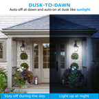 TORCHSTAR 4-Pack Dusk to Dawn LED Light Bulb Outdoor, A19, 5000K