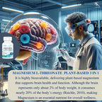 Kappa Nutrition Powered by Magbrain™ Magnesium L-Threonate Plant-Based, 90 Vegan Capsules, 420mg Elemental Magnesium (3 Capsules) from 2,253mg, Brain, Sleep & Muscle Support.