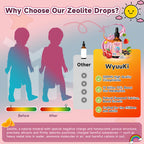 Zeolite Drops 2 Pack Detox for Kids & Adults - 300mg Clinoptilolite, 1000mcg Vitamin B12 C D3, 10 Billion CFU Prebiotics, Seaweed Calcium - Pure Body Cleanse Heavy Metal Gut Energy Bones Immune 120ml