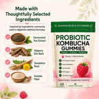 Awjsde Jevawell Kombucha Gummies, Prebiotic Probiotic Postbiotic Formula, Digestive & Gut Health Support, Microbiome Balance & Digestive Comfort, Vegan, Non-GMO, 60 Gummies (1 Peak)