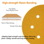 Aiyard 6-Inch 6-Hole Hook and Loop Sanding Discs 100-Grit, Random Orbital Sandpaper for Automotive and Woodworking, 100-Pack