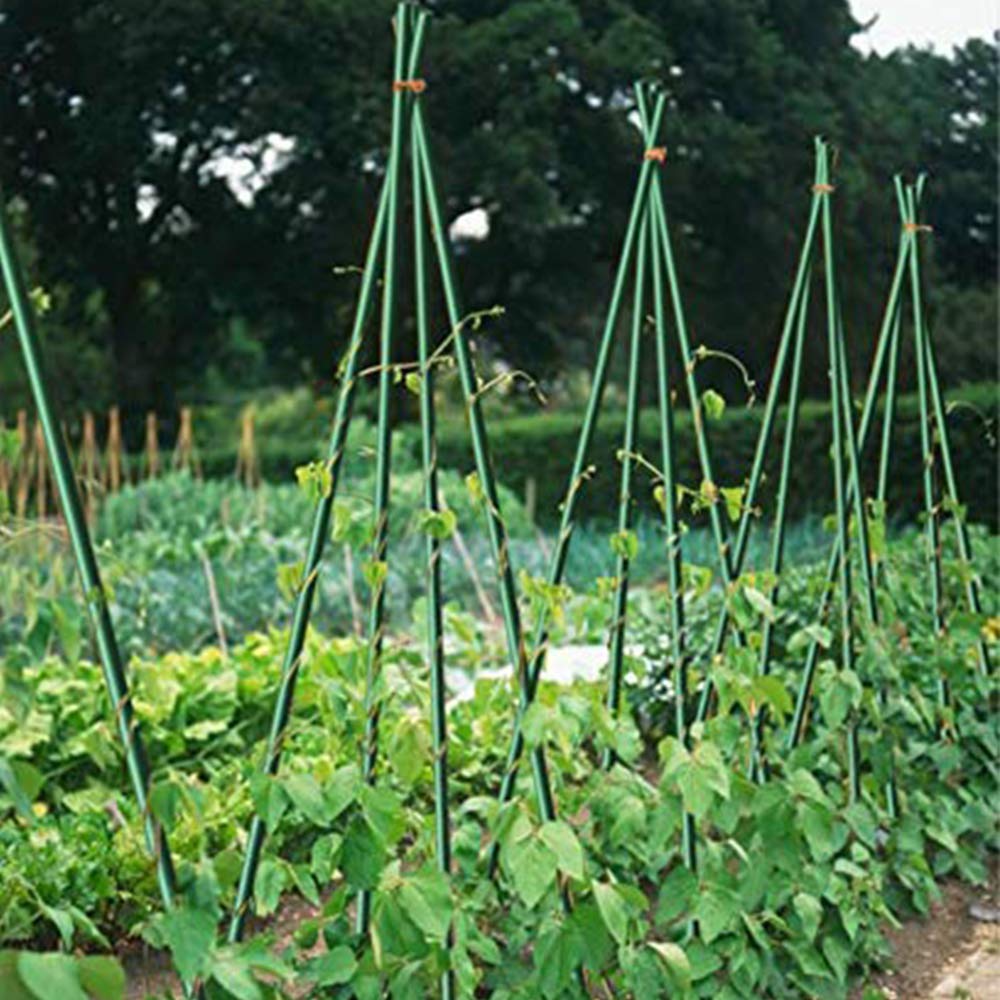 Growsun 6ft 50 Pack Tomato Stakes Plant Stake Supports Garden Fences Trellis Metal Plastic Coated Plant Cage Supports Climbing