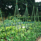 Growsun 6ft 50 Pack Tomato Stakes Plant Stake Supports Garden Fences Trellis Metal Plastic Coated Plant Cage Supports Climbing