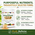 ImmunoPower Gold - High-Absorption Turmeric Root Extract & BioPerine Immune Booster - Doctor Formulated with 33+ Nutrients - Orange Flavor